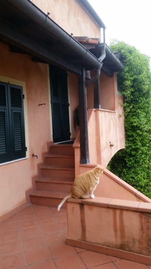 San Martino  Pin De Stelle Bed & Breakfast エクステリア 写真